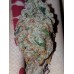 Girl Scout Cookies Auto - FastBuds